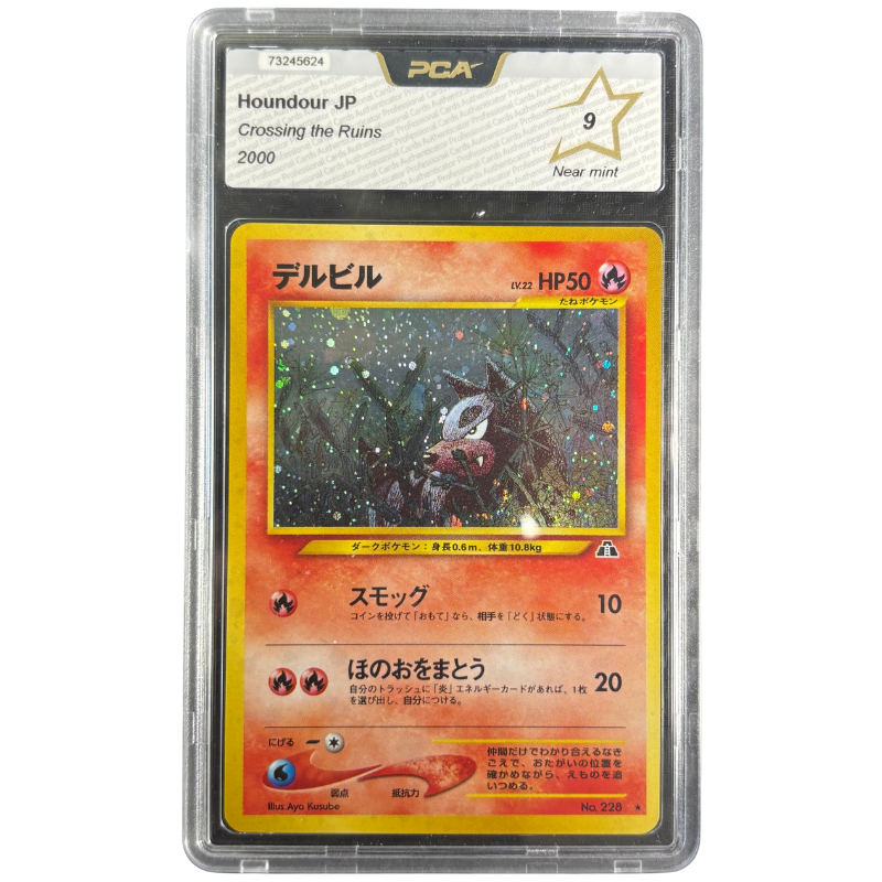 Houndour 228 Crossing the Ruins – PCA 9