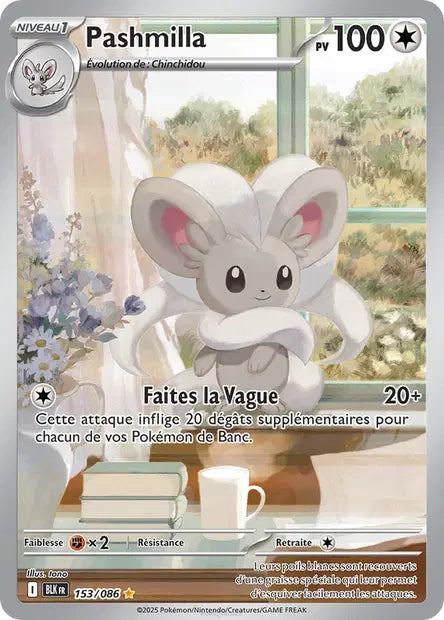 Pashmilla 153/086 - Foudre Noire