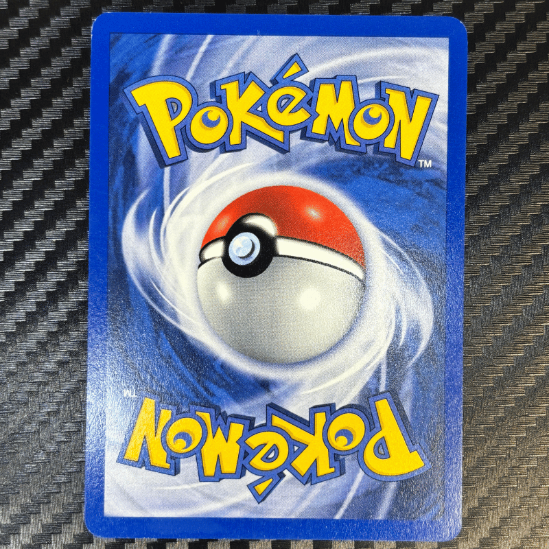 Tarpaud 27/75 - Neo Discovery - NM