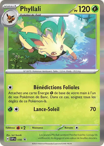 Phyllali promo SVP 170