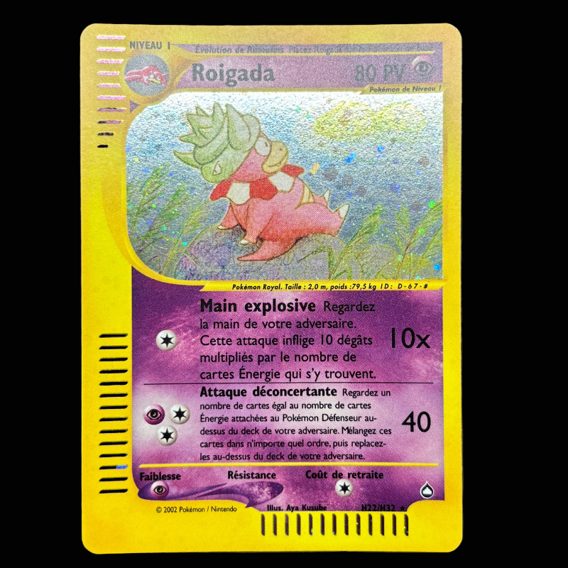 Roigada H22/H32 - Aquapolis - NM