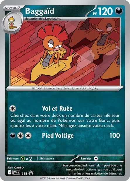 Baggaïd promo svp 188