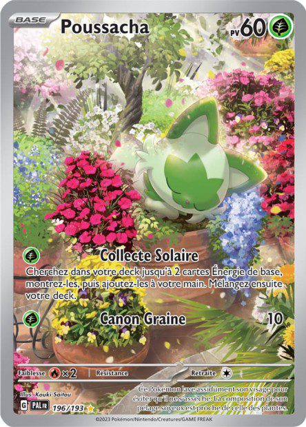 Poussacha 196/193 - Évolutions à Paldea