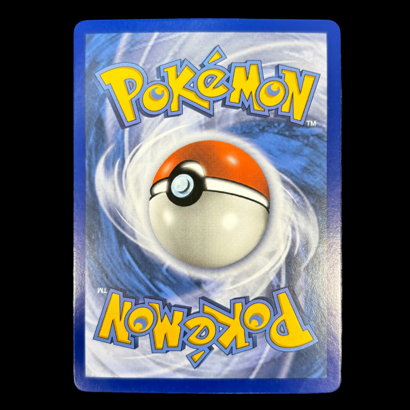 Chammal et Chamsin 176/181 – Duo de Choc