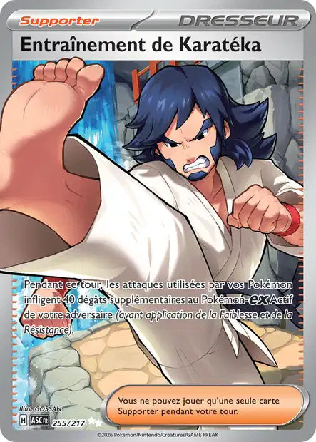 Entraînement de Karatéka 255/217 Héros Transcendants