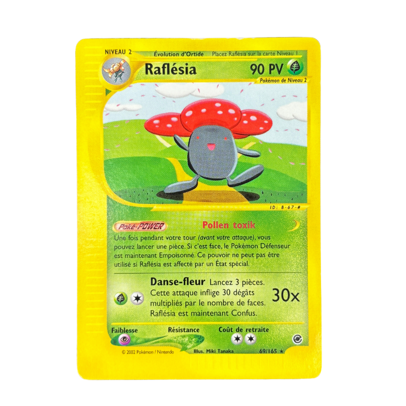 Rafflesia 69/165 - Expédition