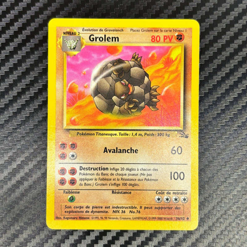 Grolem 36/62 - Fossile