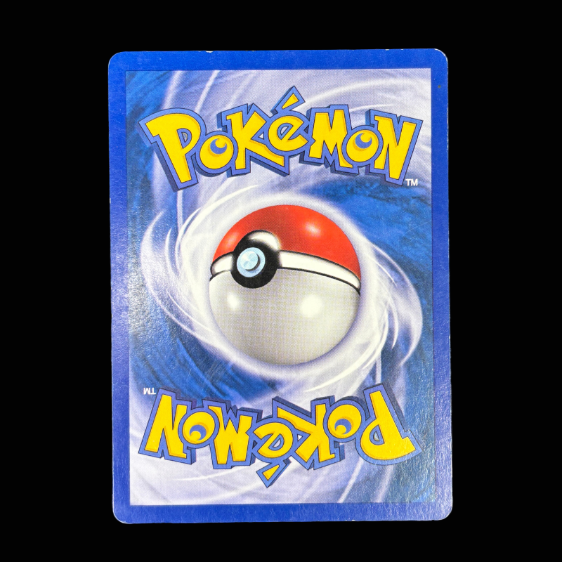 Rafflesia 69/165 - Expédition