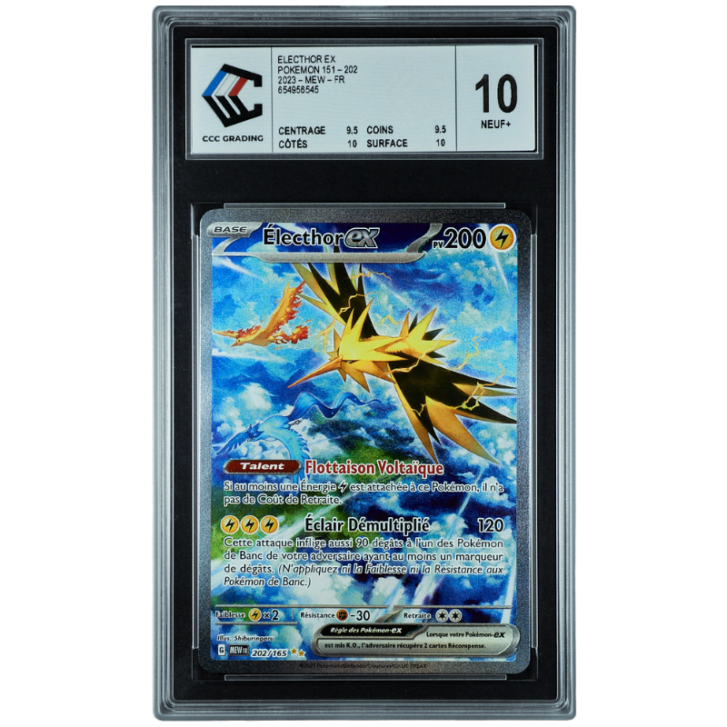 Électhor 202/165 - 151 CCC 10