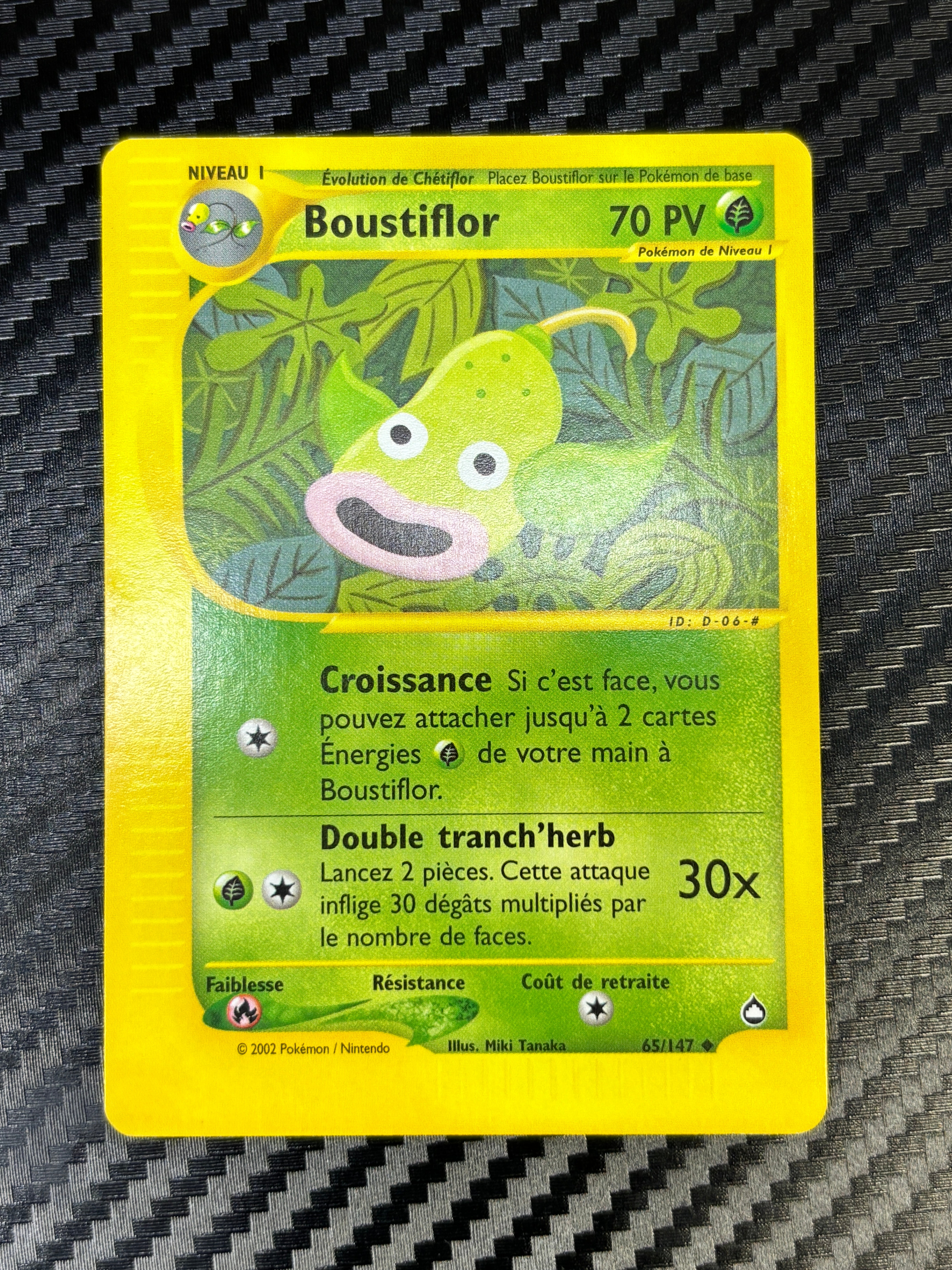 Boustiflor 65/147 - Aquapolis - NM