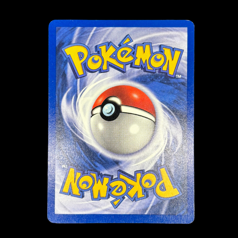 Amonita 52/62 ED1 - Fossile - EXC+