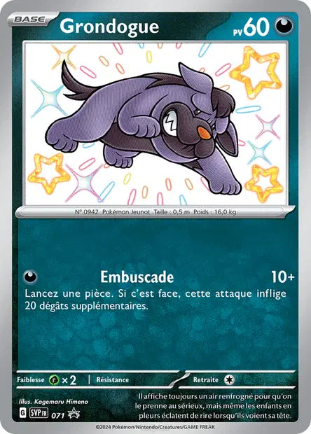 Grondogue promo SVP 071