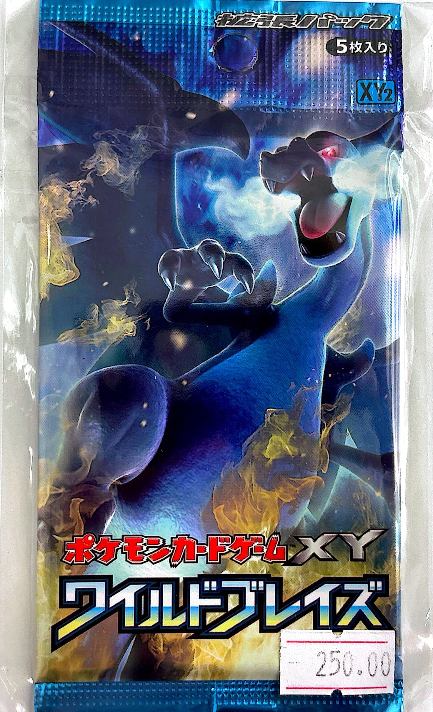 Booster Pokémon Wild Blaze (XY2)