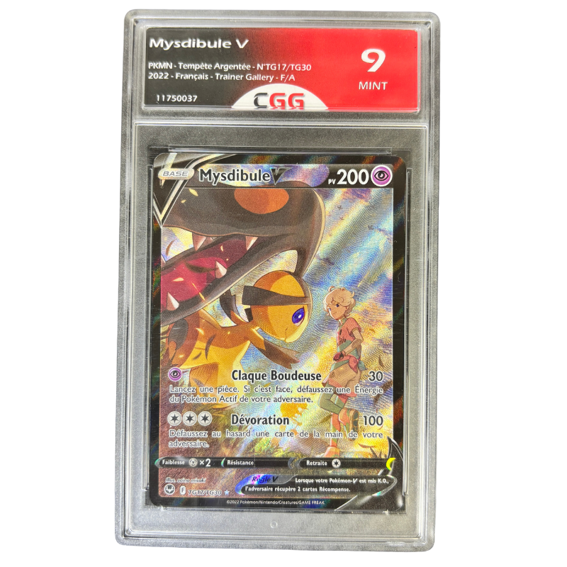 Mysdibule TG17/TG30 - CGG 9