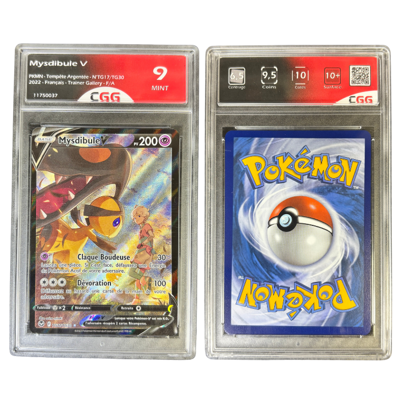 Mysdibule TG17/TG30 - CGG 9