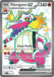 Flâmigator ex promo SVP 081