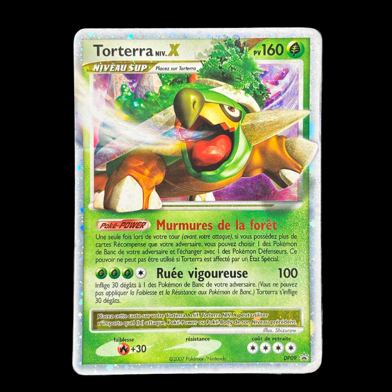 Torterra niv X DP09 – EXC