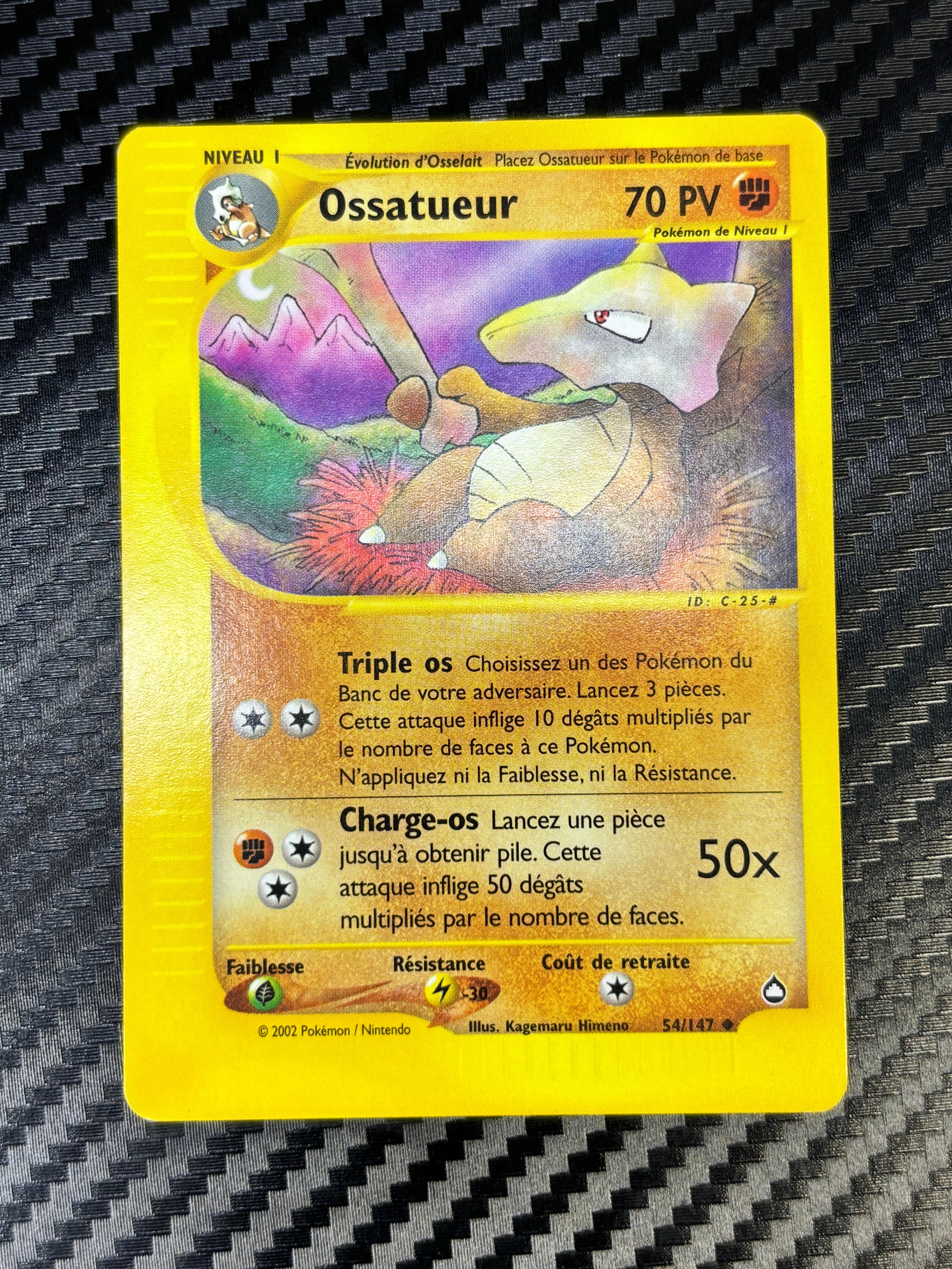 Ossatueur 54/147 - Aquapolis - NM