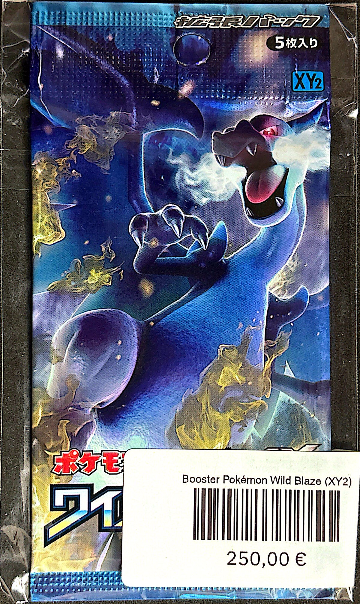 Booster Pokémon Wild Blaze (XY2)