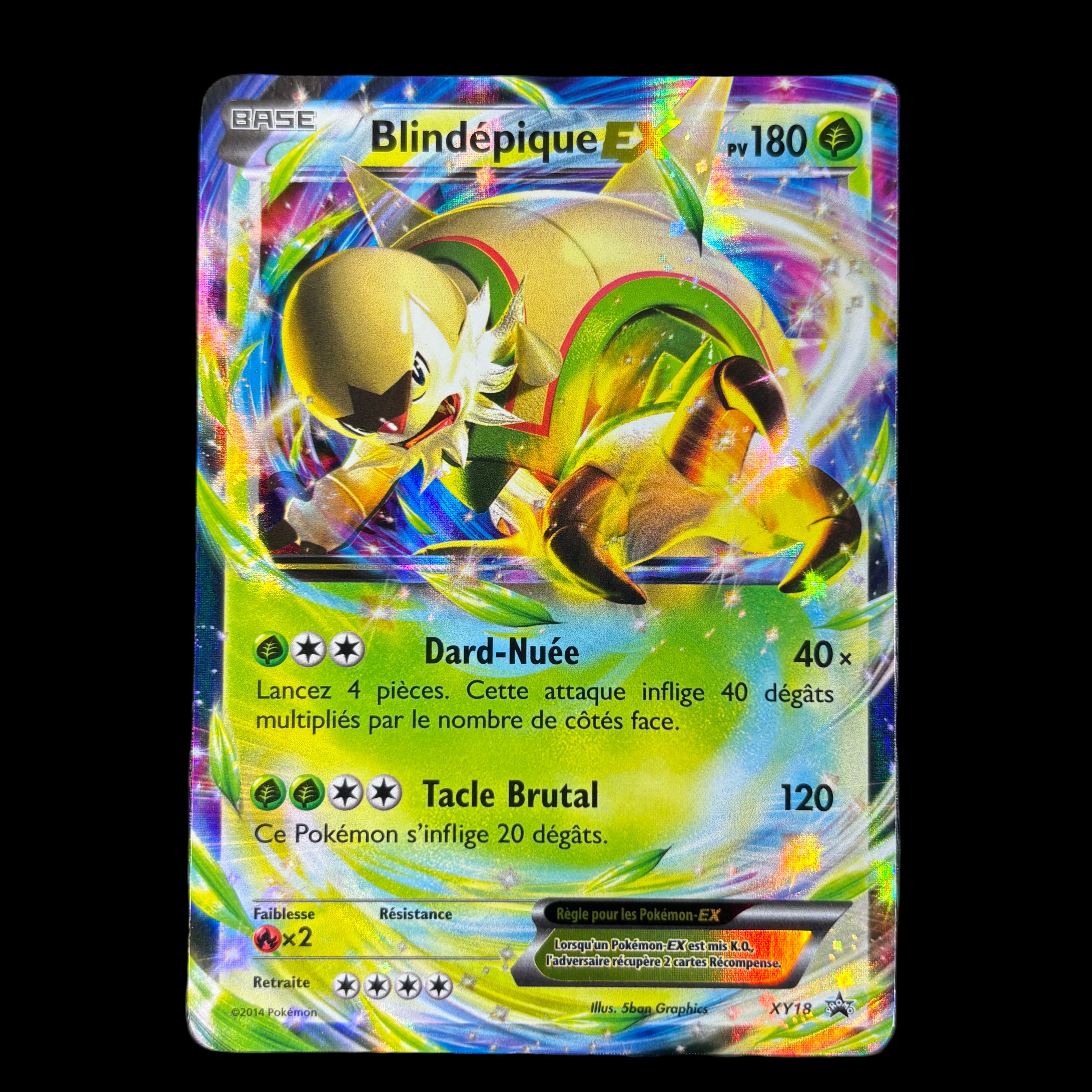 Blindépique EX XY18 – NM