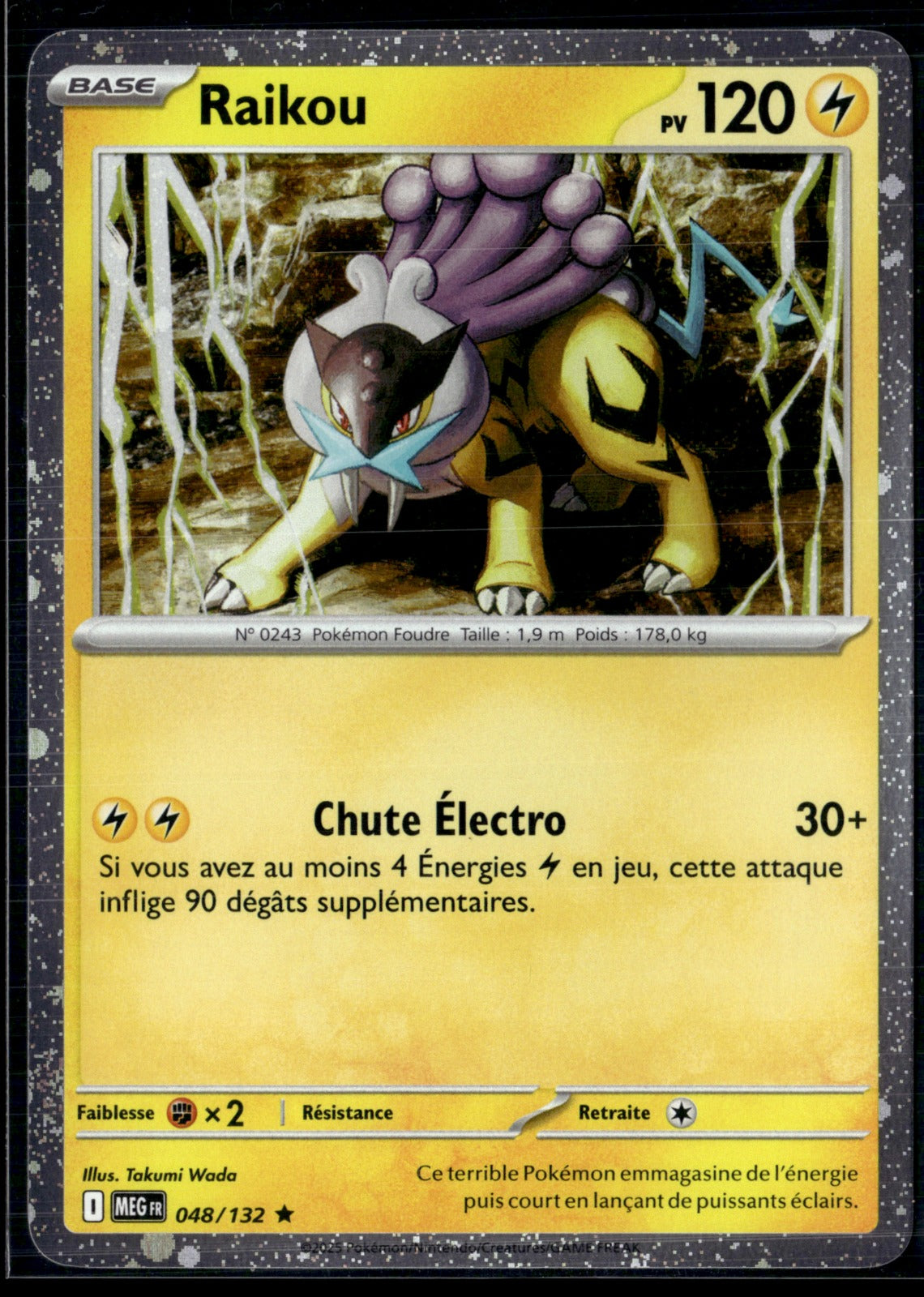 Raikou 048/132 | Promo Holo Cosmo