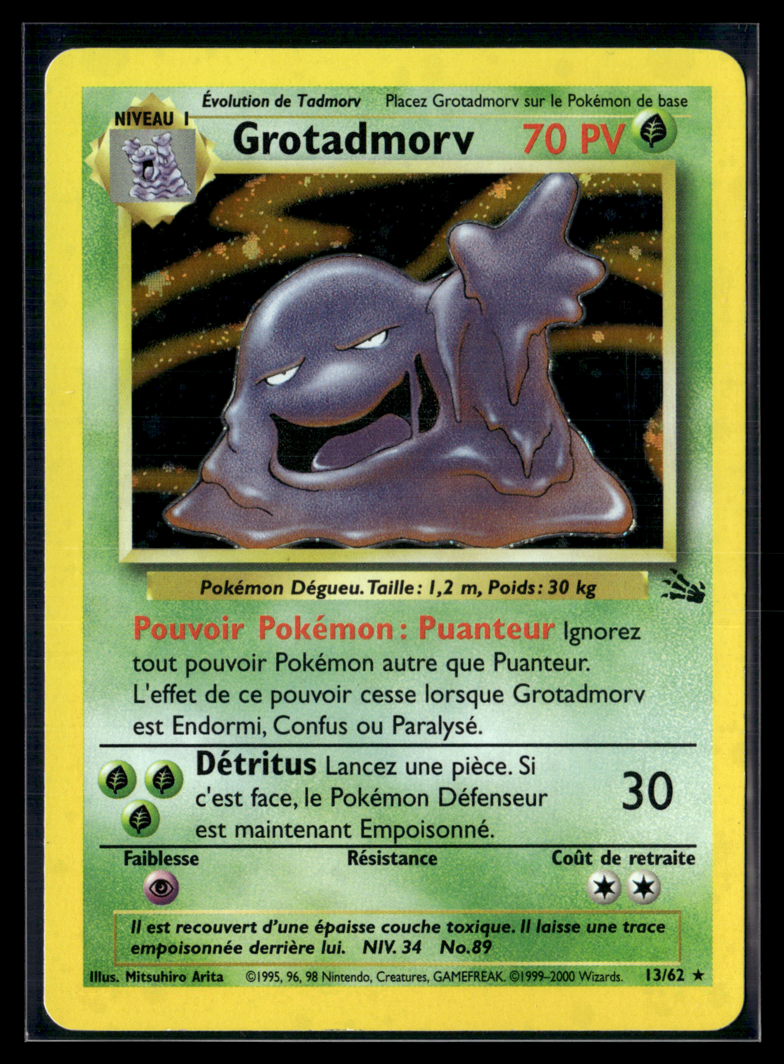 Grotadmorv 13/62 - Fossile - MINT