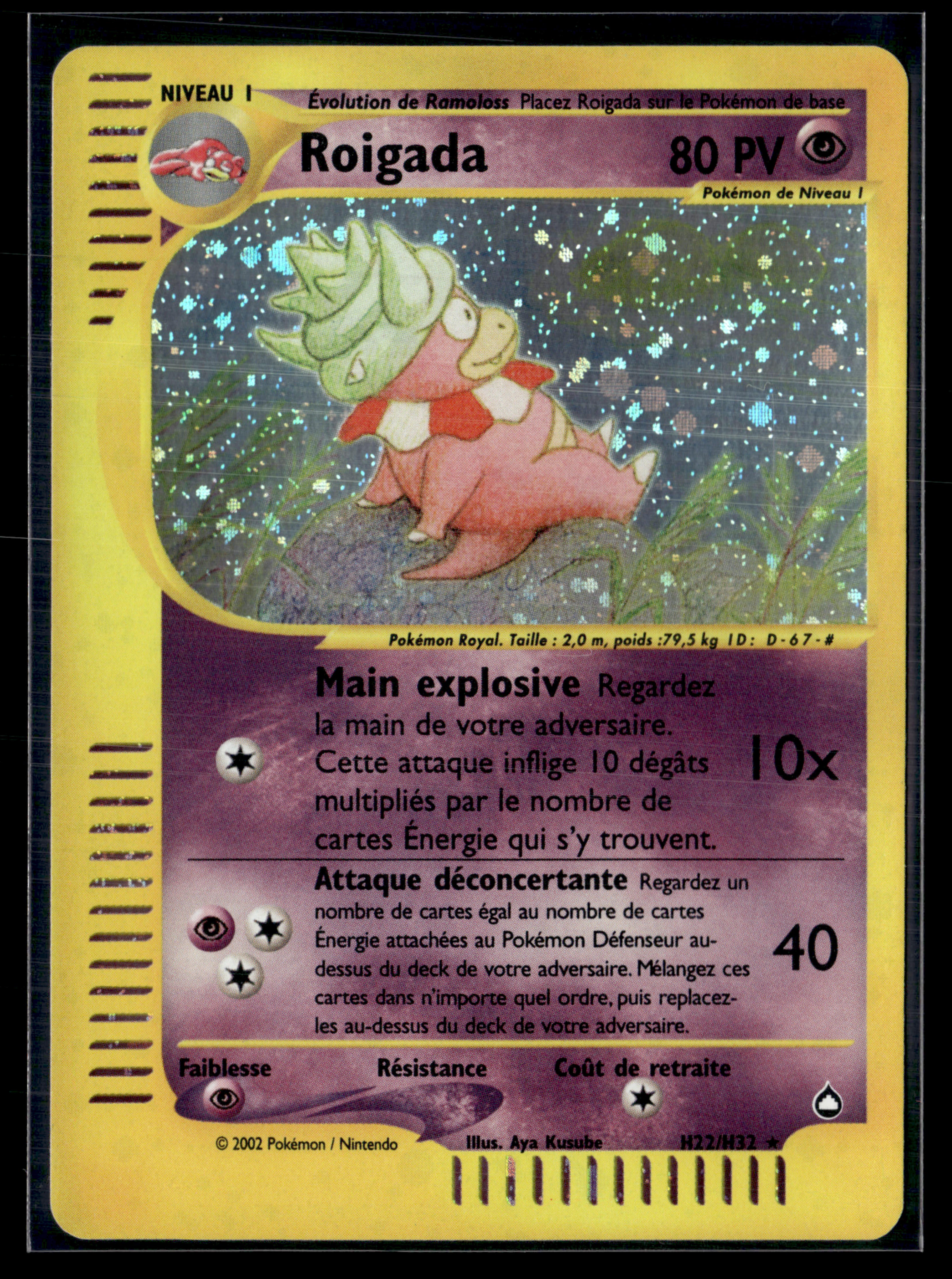 Roigada H22/H32 - Aquapolis - NM