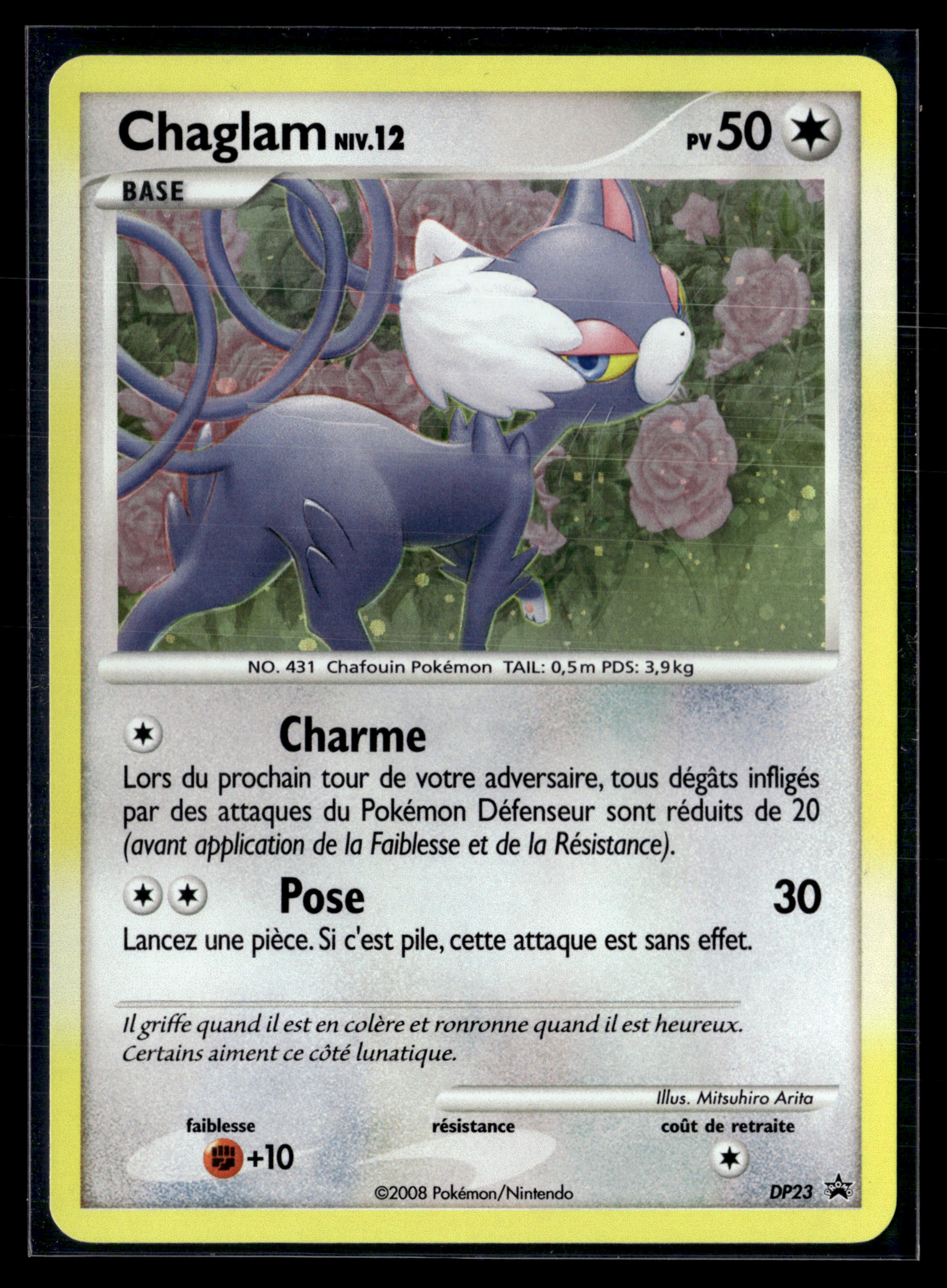 Chaglam DP23 – NM