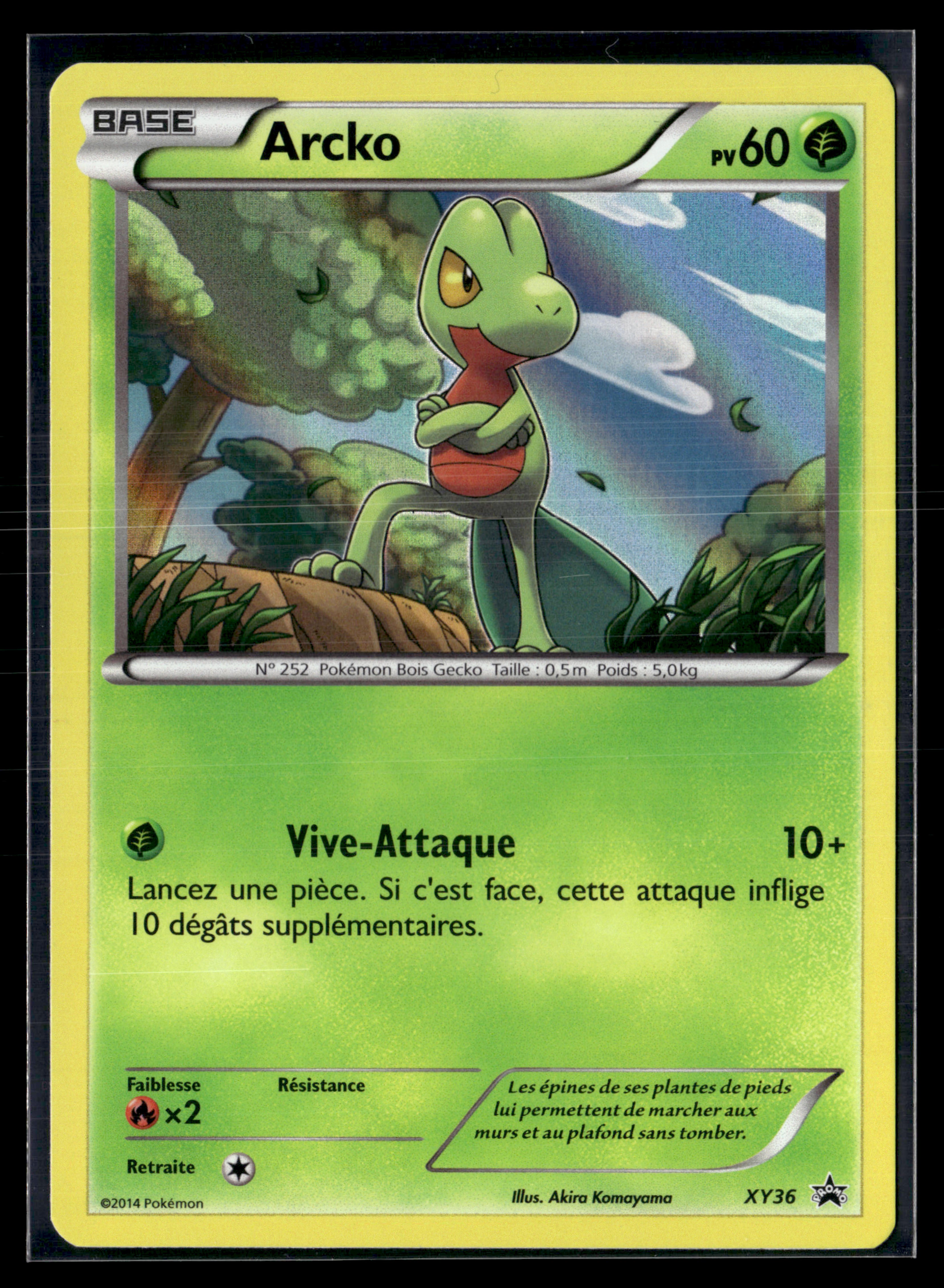 Arcko XY36 Promo Black Star | NM