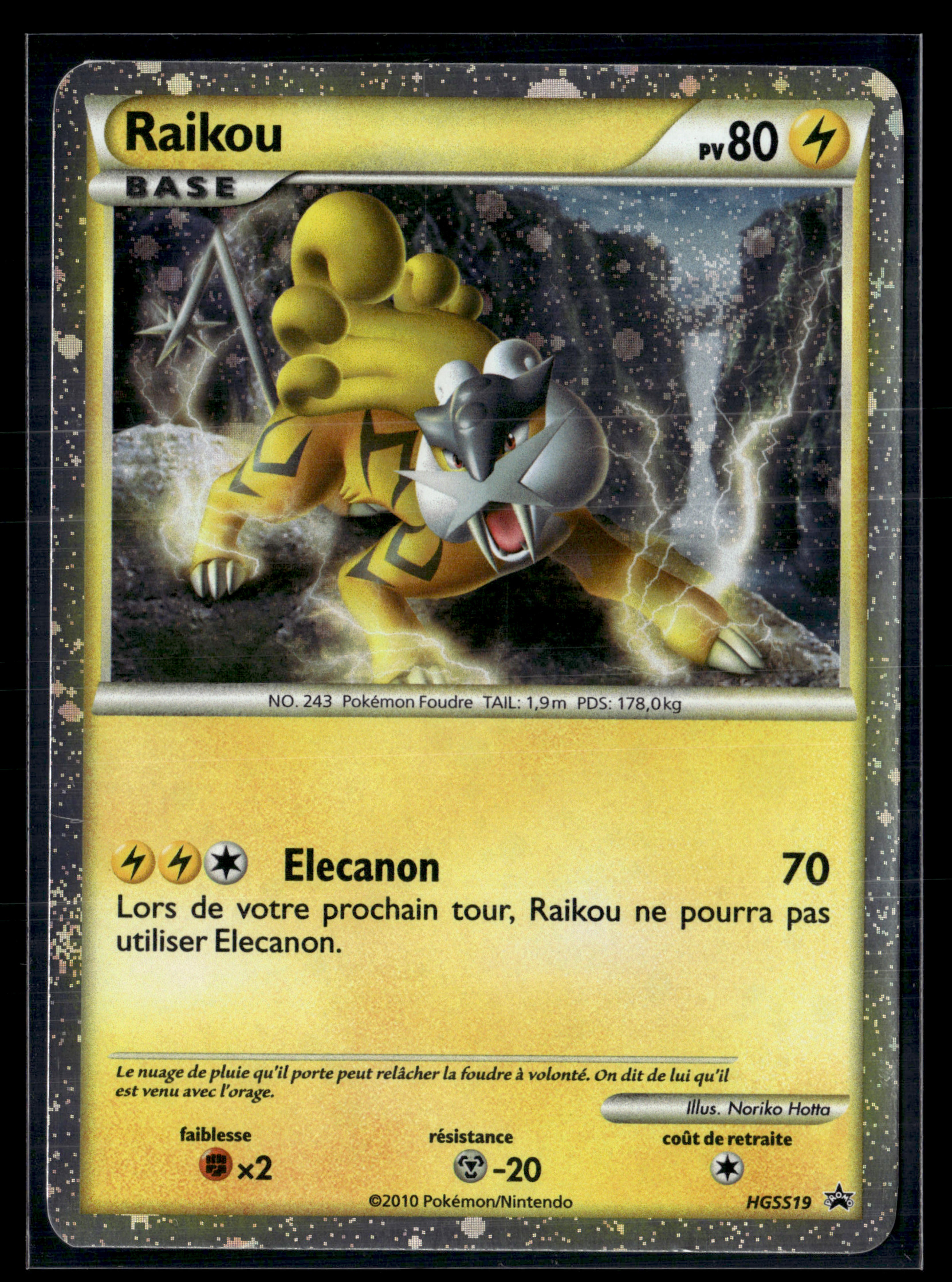 Raikou HGSS19 | EXC+