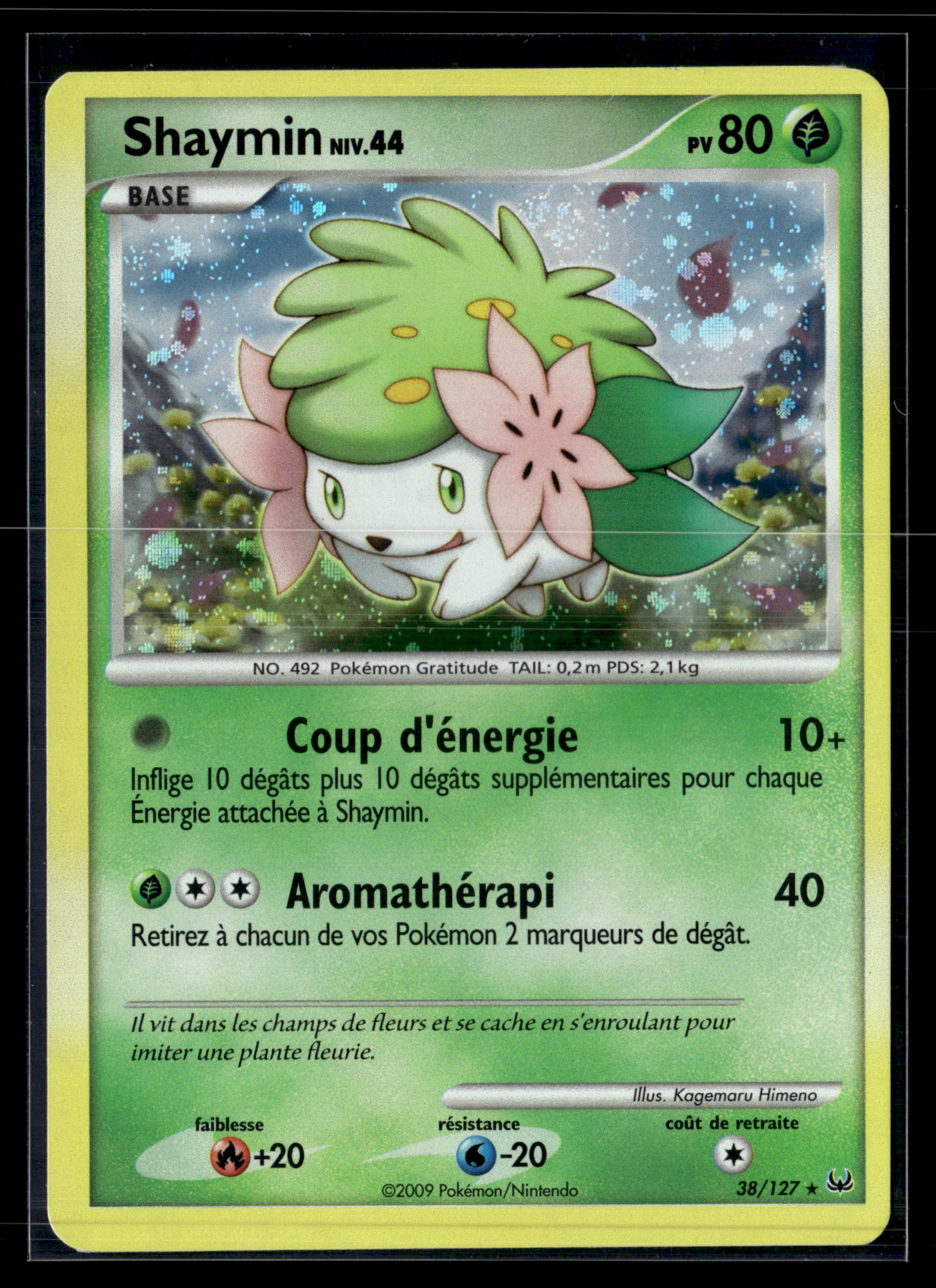 Shaymin 38/127 Platine – EXC