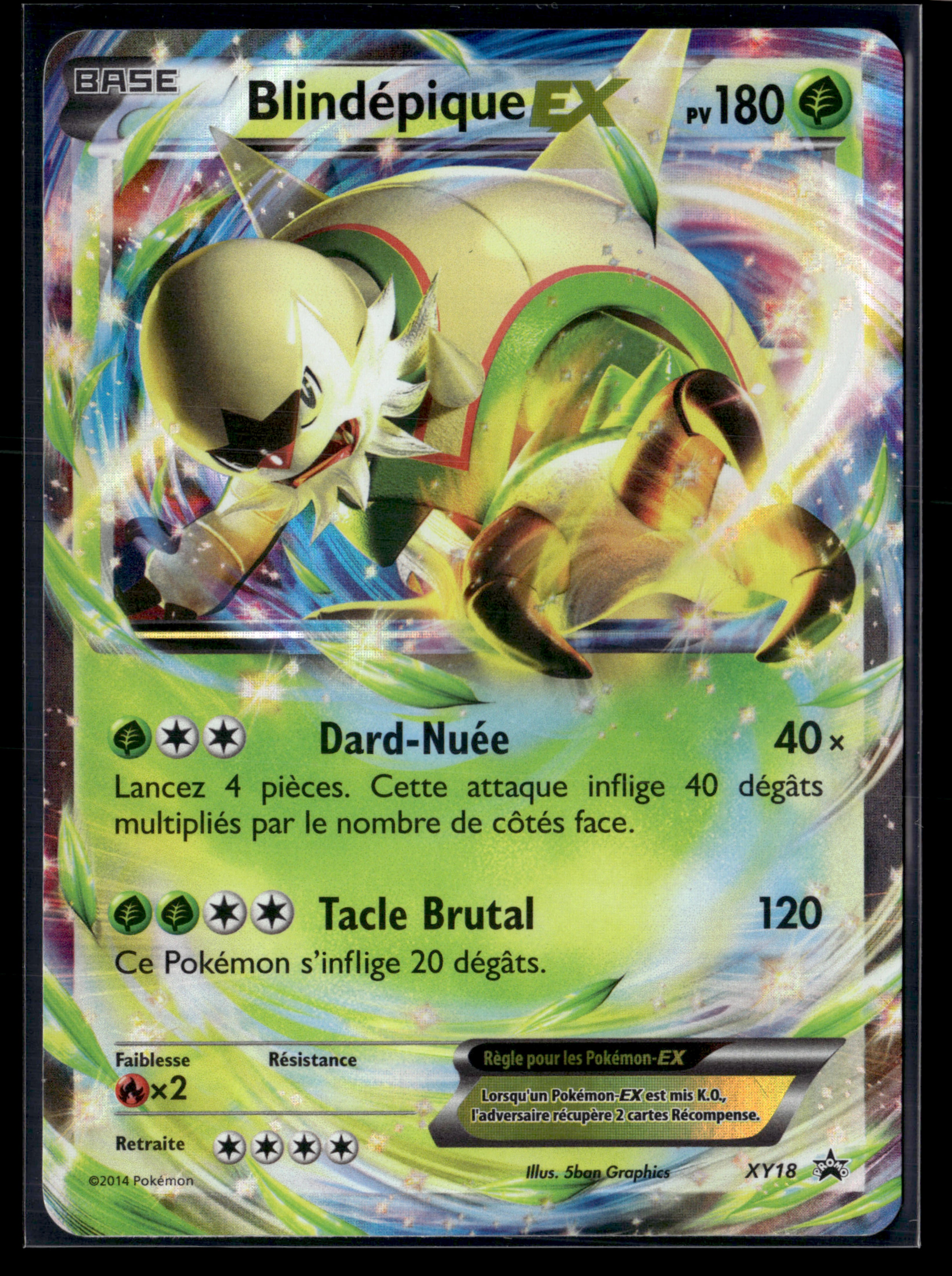Blindépique EX XY18 – NM #2
