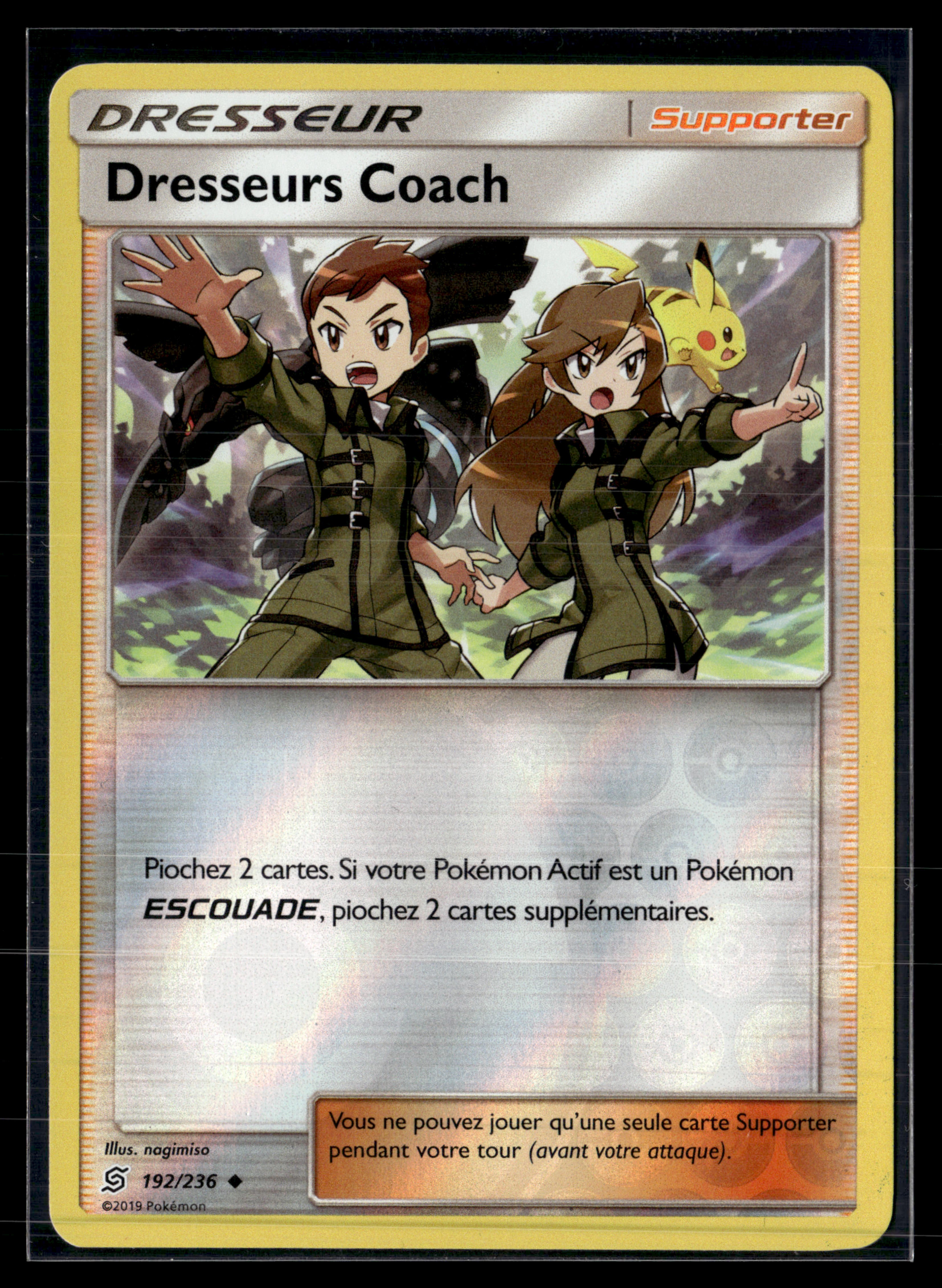 Dresseur coach 192/236 Harmonies des esprits | EXC+