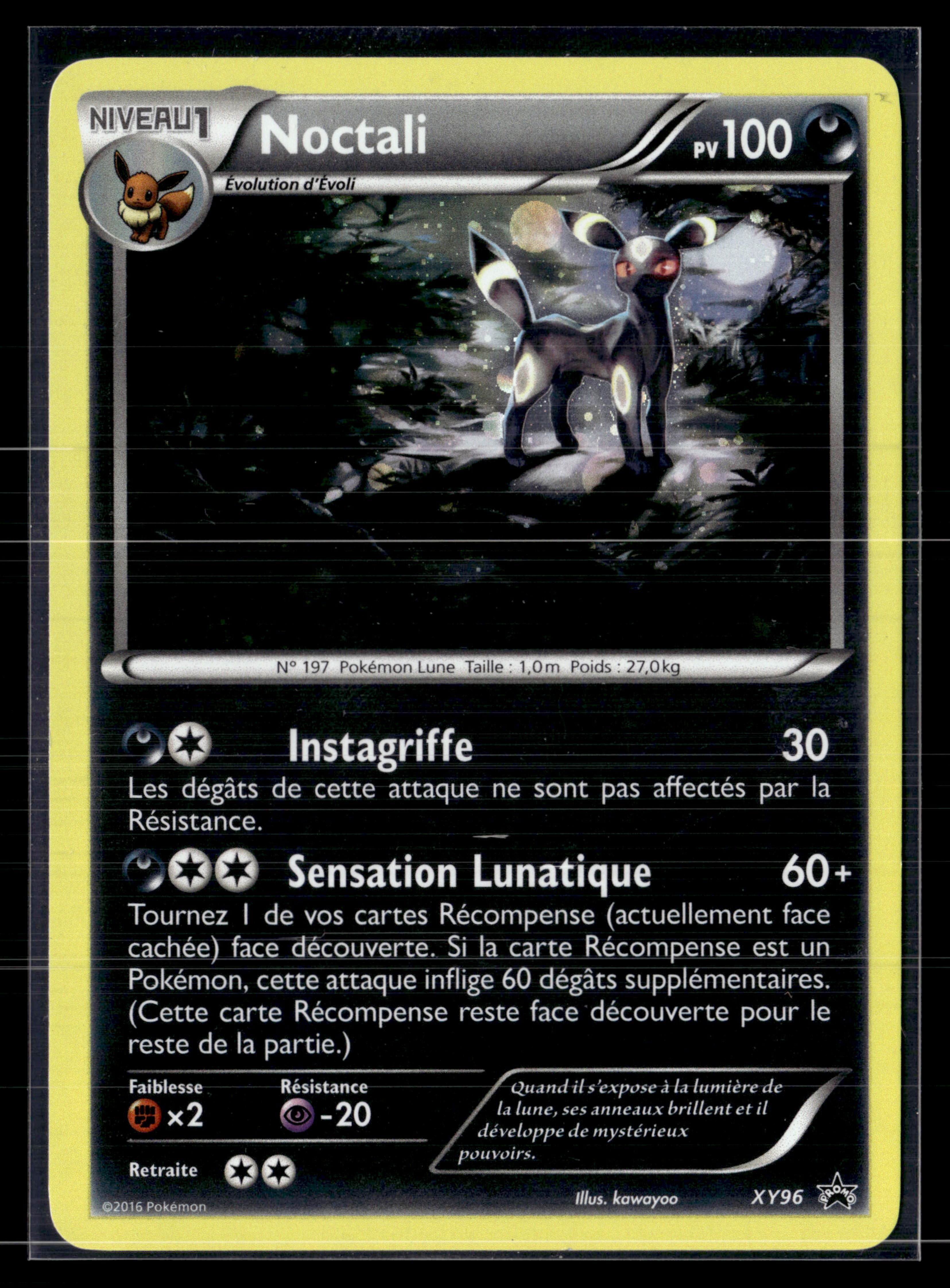 Noctali XY96 | NM