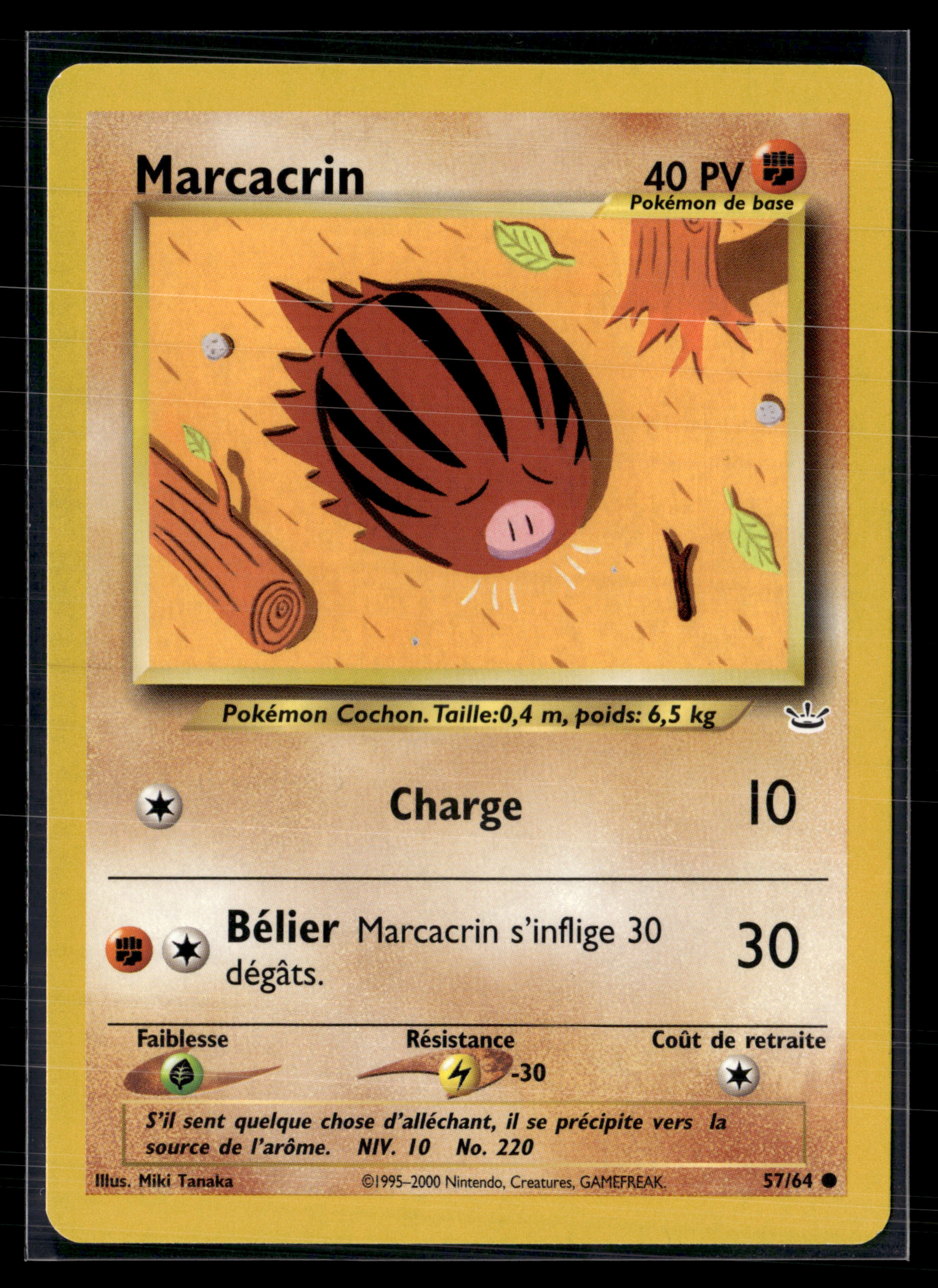 Marcacrin 57/64 - Neo Revelation - NM