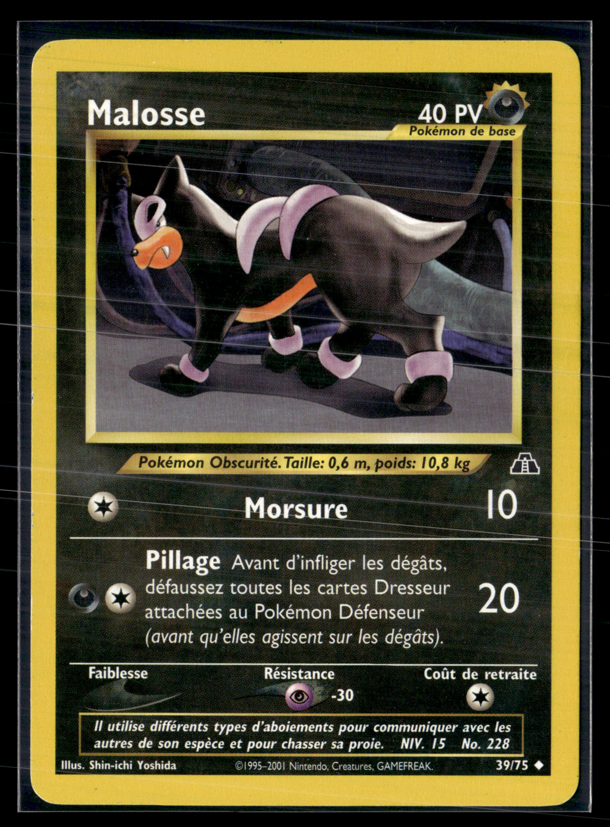 Malosse 39/75 - Neo Discovery - NM