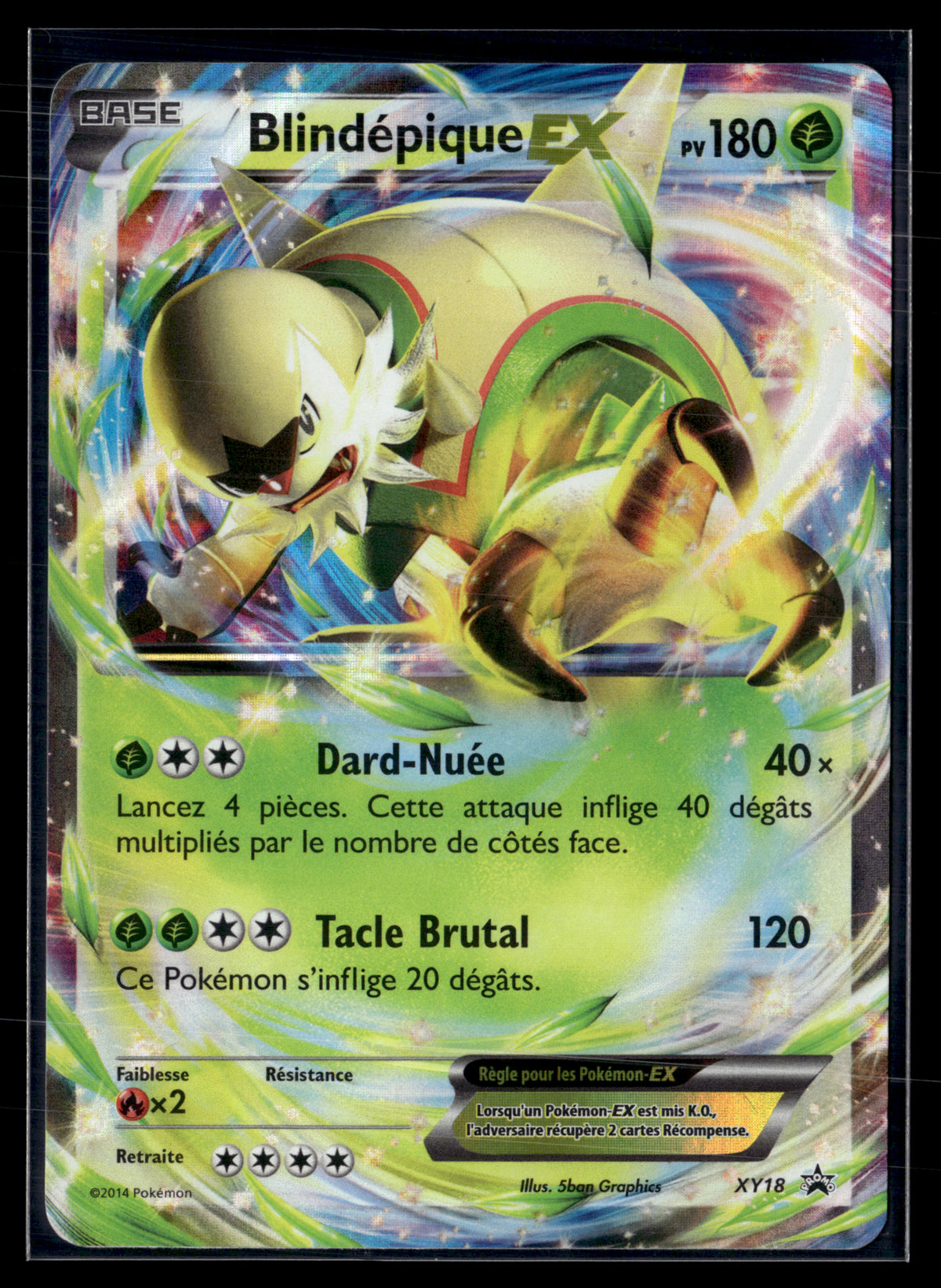 Blindépique EX XY18 – NM #2