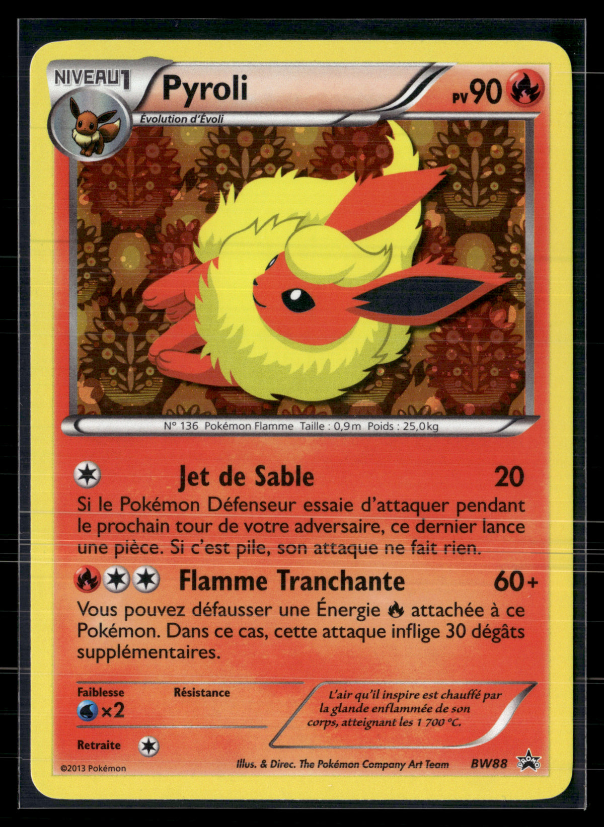 Pyroli BW88 | NM