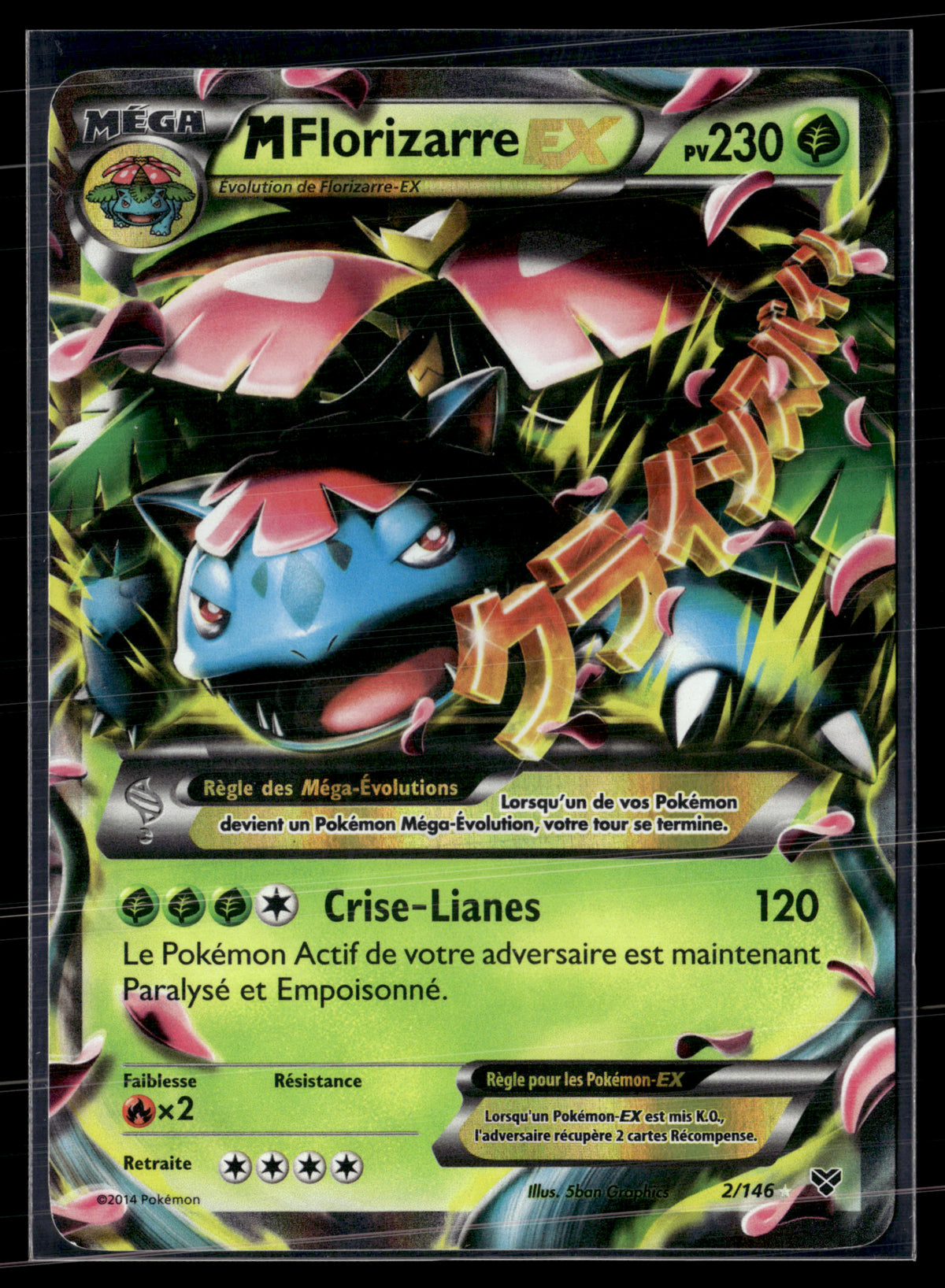 Mflorizarre 2146 XY | EXC+