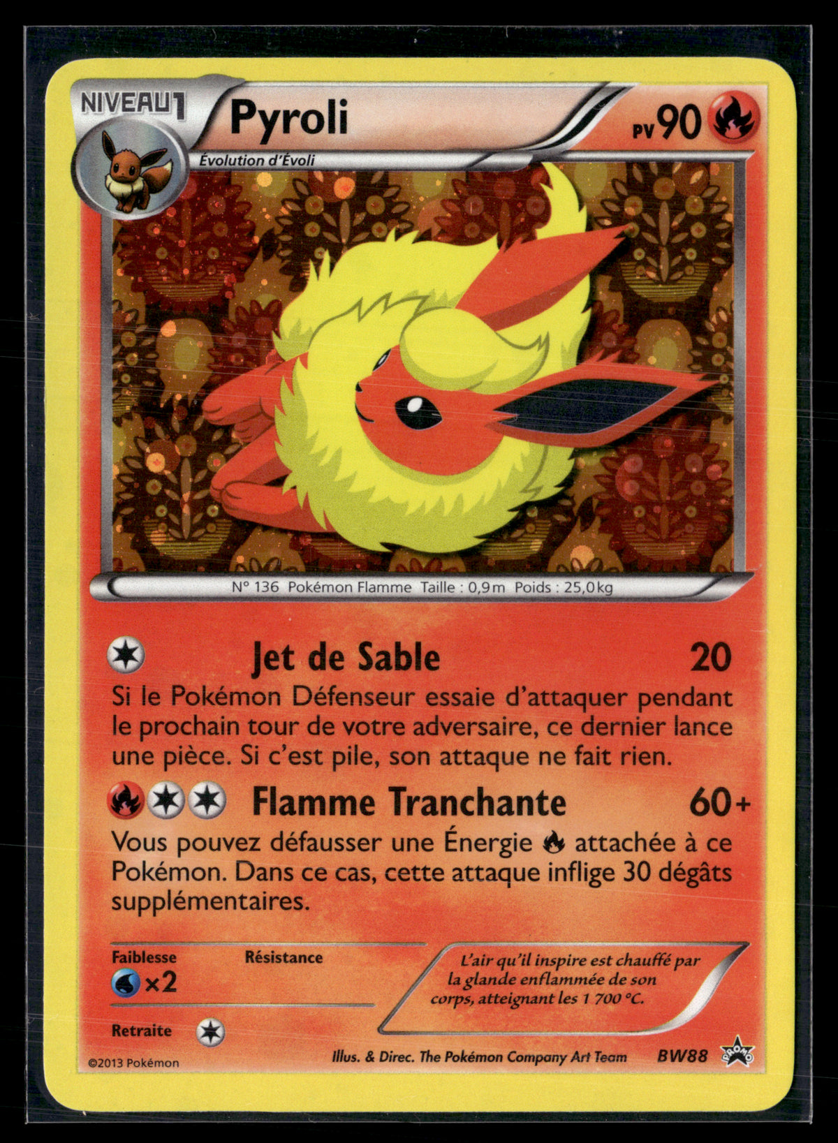Pyroli BW88 | NM #2