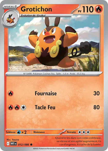 Grotichon 012/086 Masterball - Flamme blanche