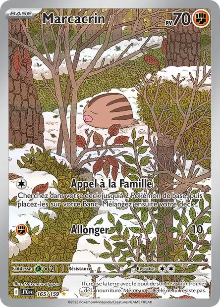 Marcacrin 165/159 - Aventure Ensemble