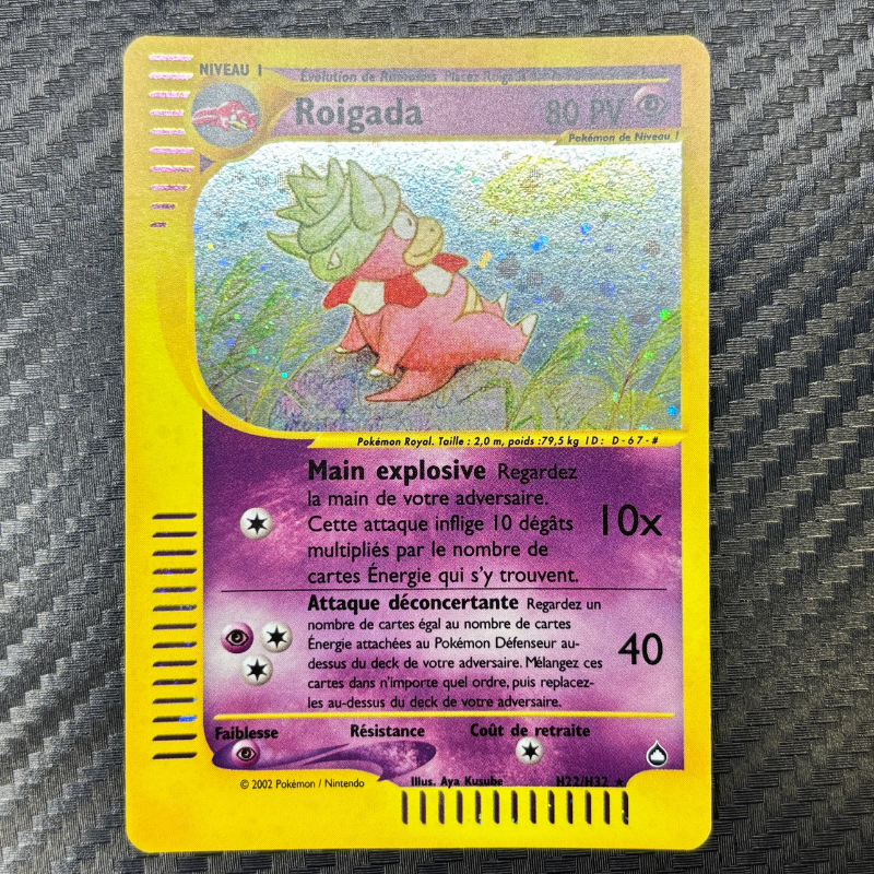 Roigada H22/H32 - Aquapolis - NM