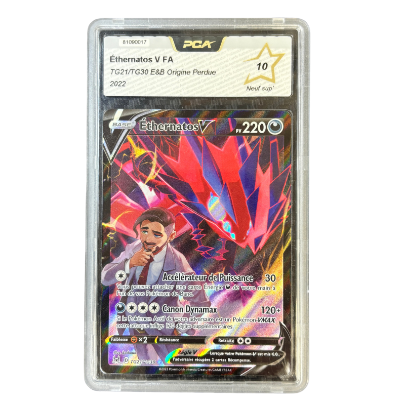 Ethernatos TG21/TG30 – Origine Perdue