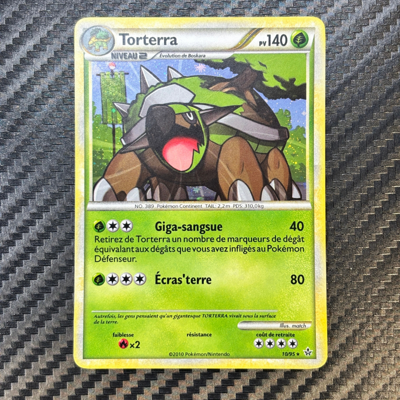 Torterra 10/95 - Déchainement - NM