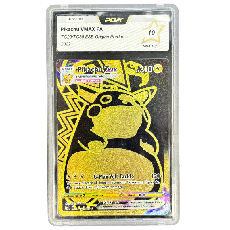 Pikachu vmax tg29/tg30