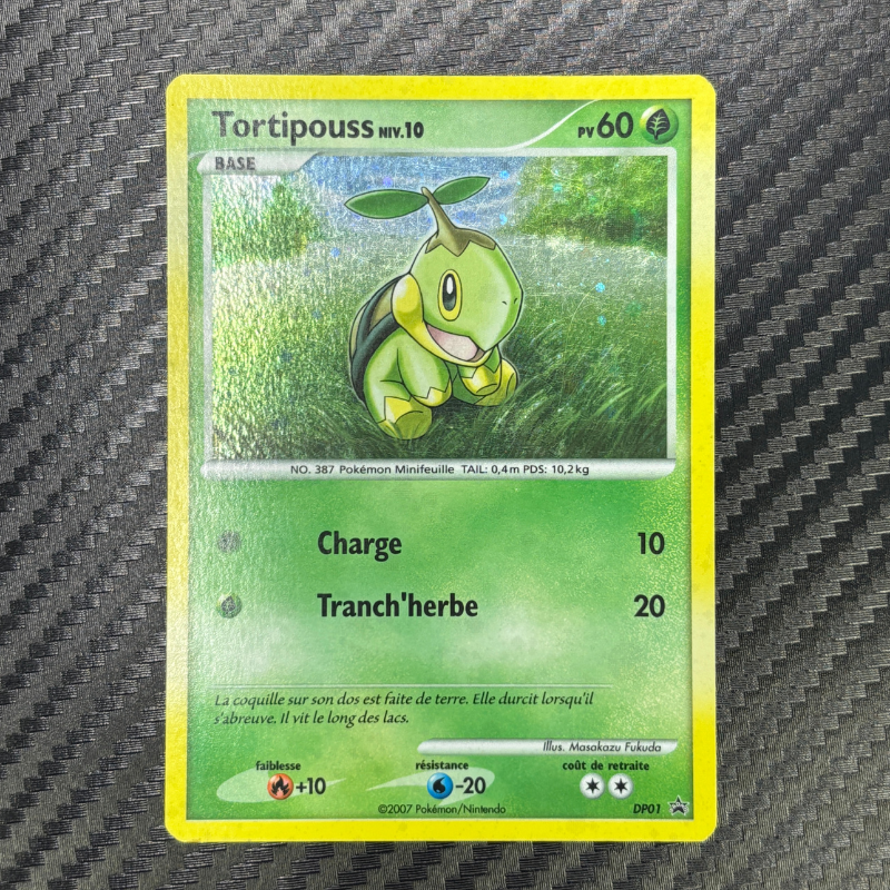 Tortipouss DP01 - Promo - EXC+