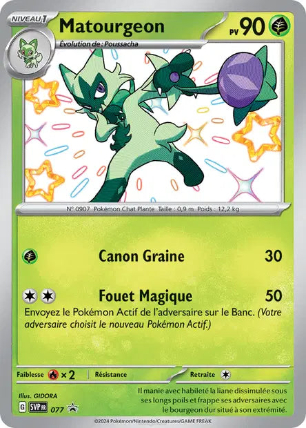 Matourgeon promo SVP 077
