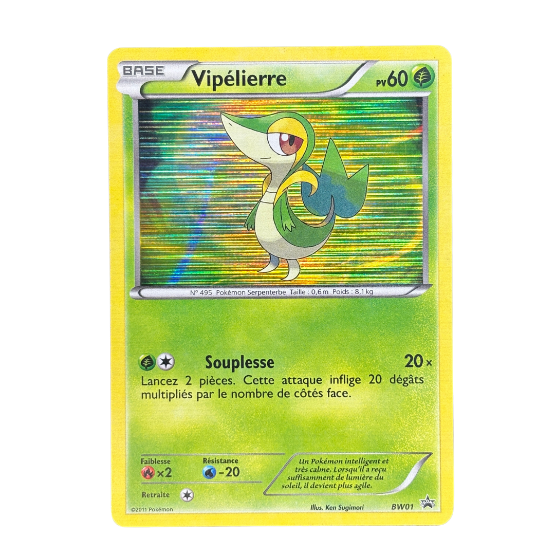 Vipelierre BW01 – NM