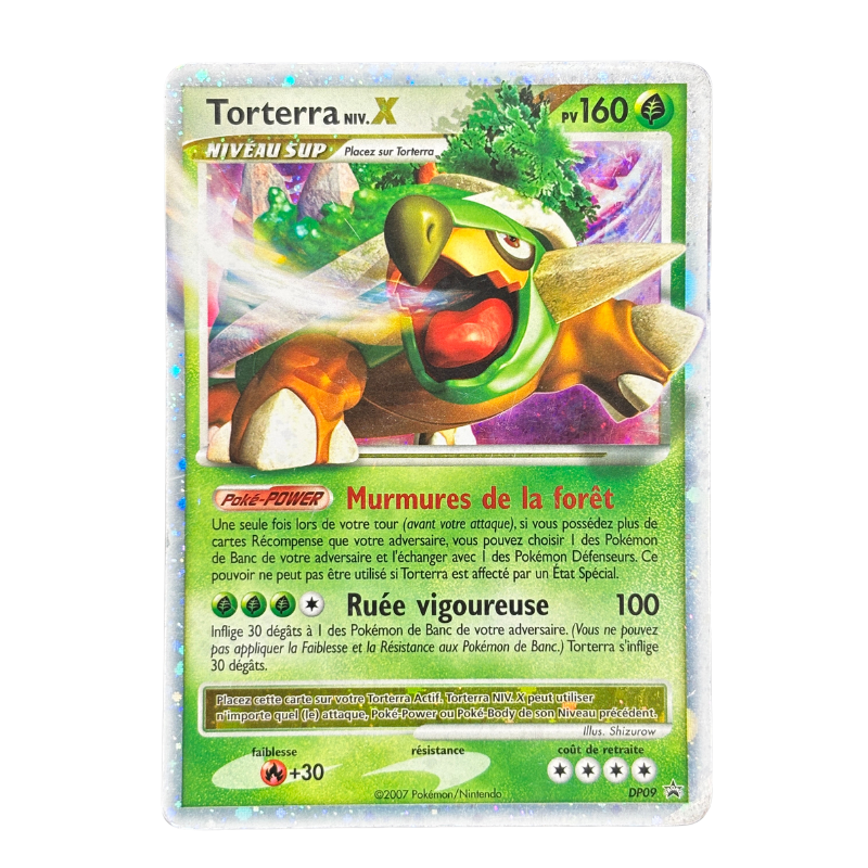 Torterra niv X DP09 – EXC